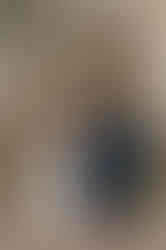 Aaron and Cassie (41).jpg