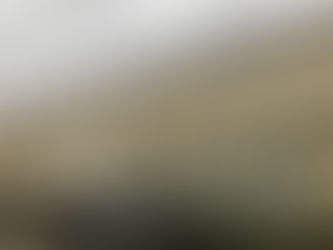 City data shows 110 unhoused people died last year in Toronto homeless shelters