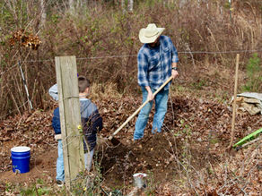 Winter Composting Tips: Simple Steps for Success