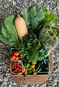 ArrowsFarmClarkesvilleGAveggiebox