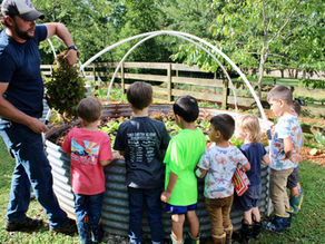 Our Farm Camp Experience: What Kids Learn and Why It Matters
