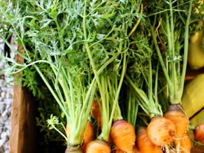 Why You Should Save Your Carrot Tops