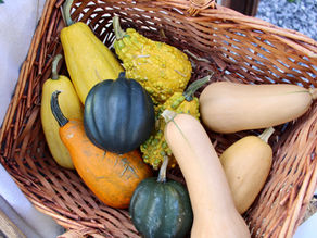 Cozy Up This Fall with Savory Acorn Squash Dip