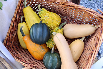 squasharrowsfarm