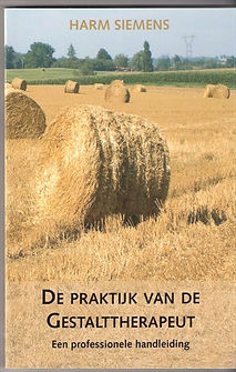 scan voorkant boek harm resize.jpeg