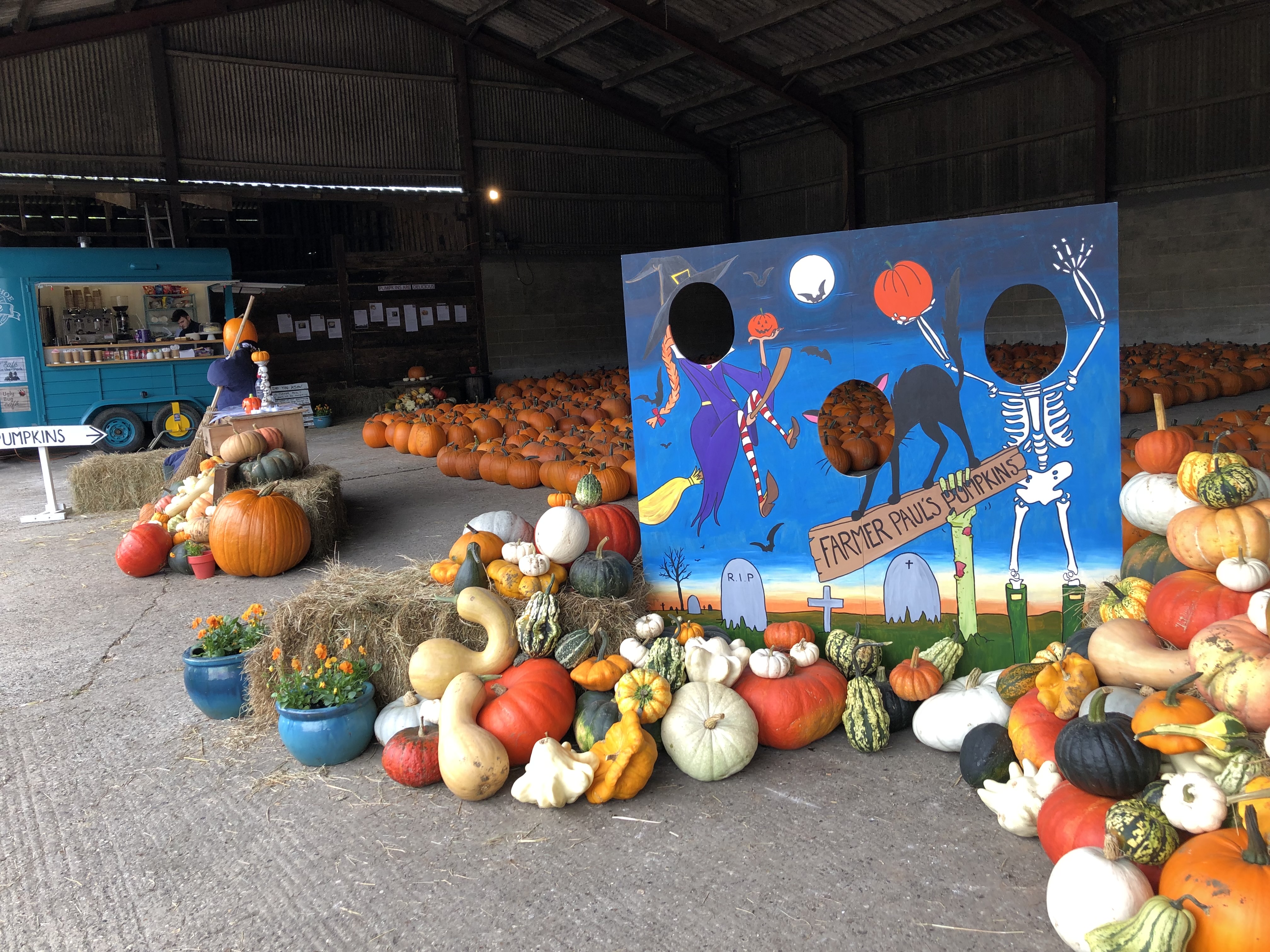 Pumpkin picking at Farmer Paul's Pumpkin Barn