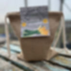 Grow Your Own Kit - Courgettes
