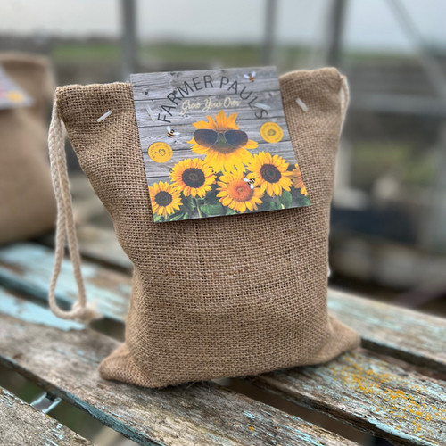 Grow Your Own Kit Sunflowers Farmerpaul