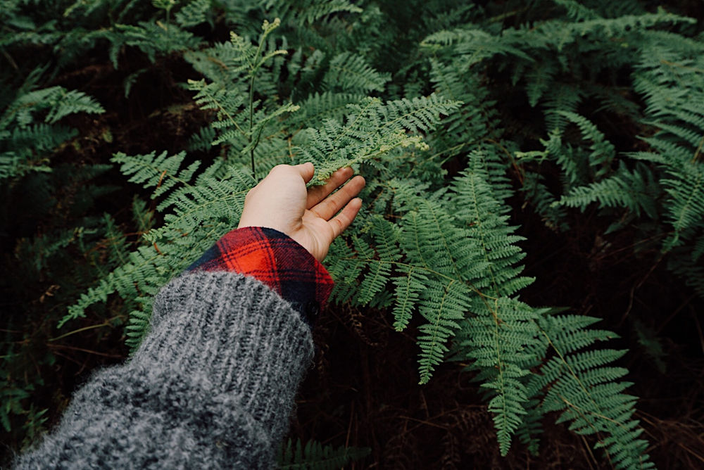 What is Green Lifestyle?