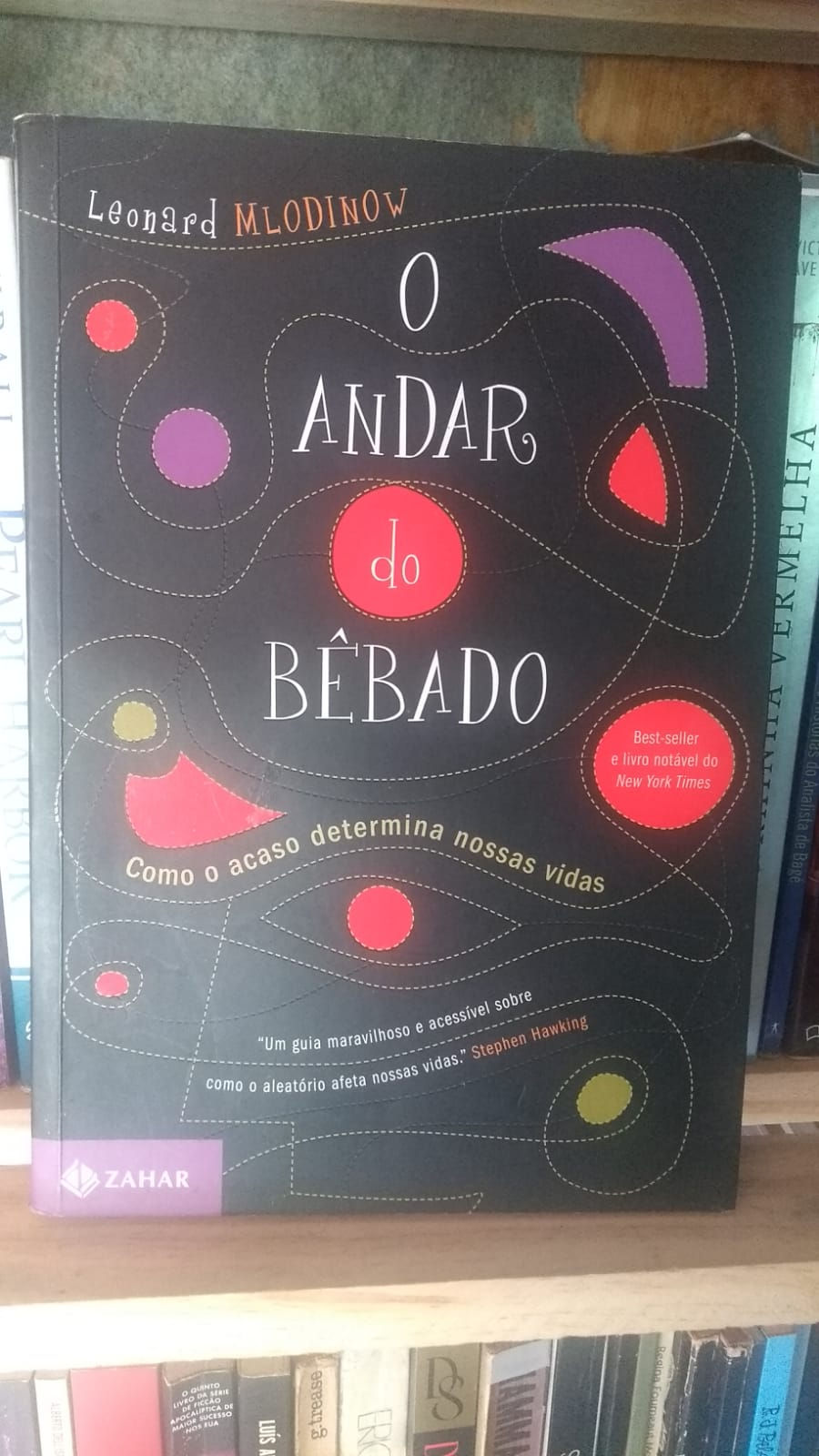 O andar do bêbado: Como o acaso determina nossas vidas - Leonard Mlodinow