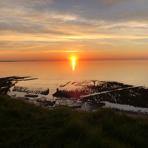Plutôt île de Ré ou île d’Oléron ?