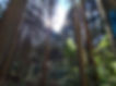 20260221_132747058.JPG