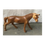 Miniature : Wooden Standing Horse