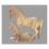 Miniature : Wooden Lumping Horse All Model