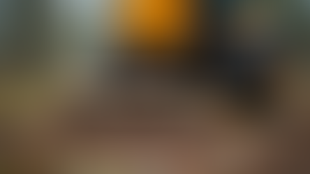 The Benefits of Professional Stump Grinding: Why It’s a Smart Choice for Your Property