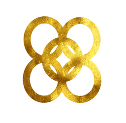 understanding w boarder.png