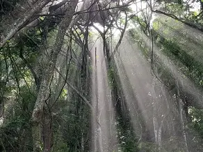 Ritos e pertencimento: o paradoxo do desapego