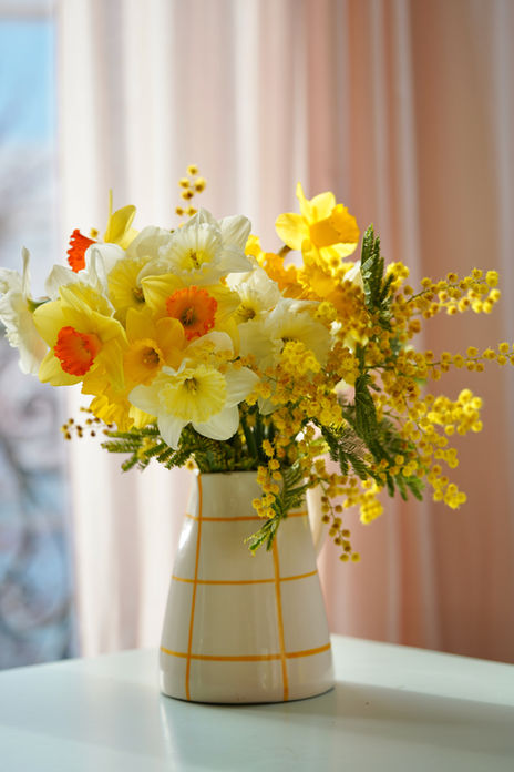 Composition florale de jonquilles pastel, ambiance art de vivre et lumière douce par la photographe Chloé Baeyaert.