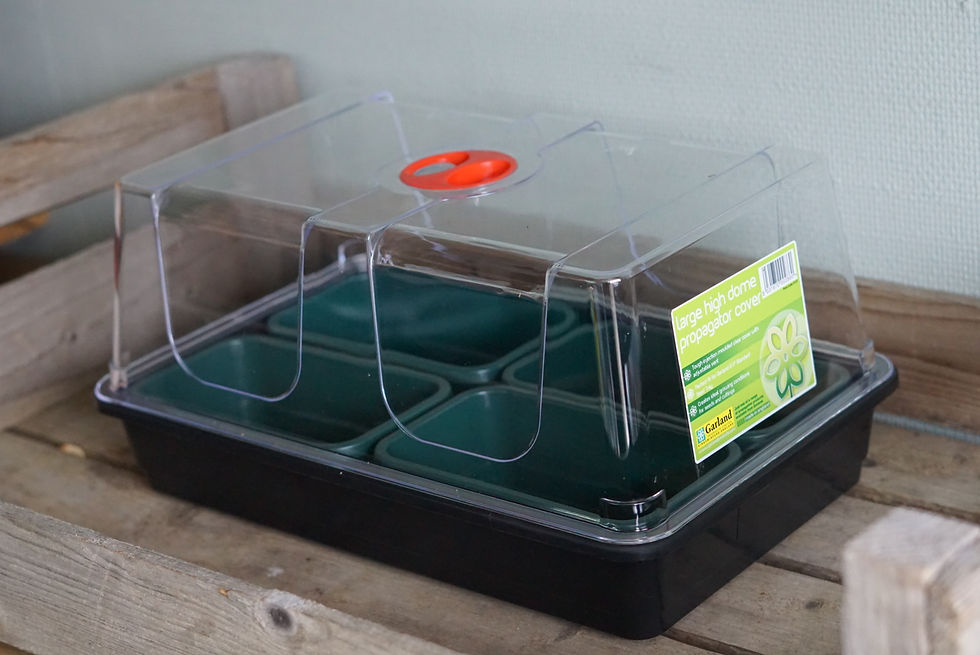 Miniatyrbild: Odlingstråg (S) med hål 17x10cm