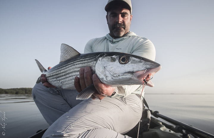 Charter bone bonefish