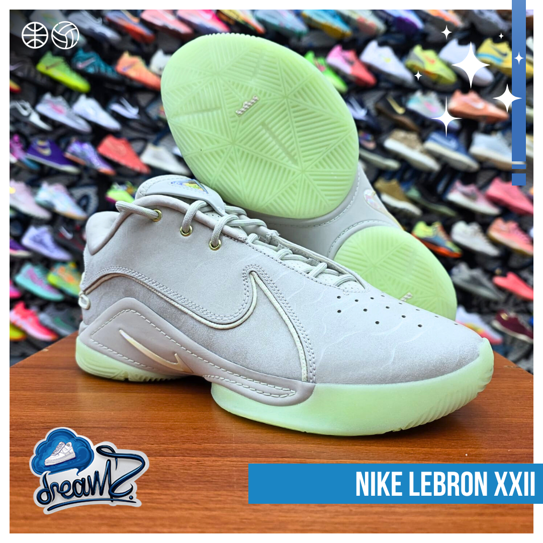 Nike Lebron XXII
