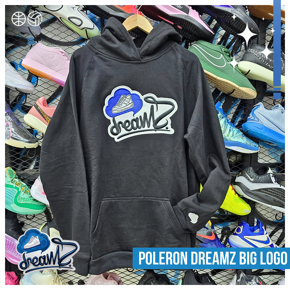 DREAMZ TEAM BIG LOGO HOODIE