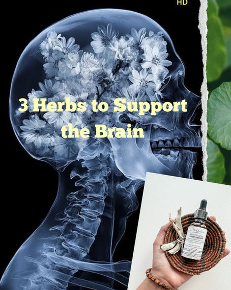 3 Herbs to Support the Brain