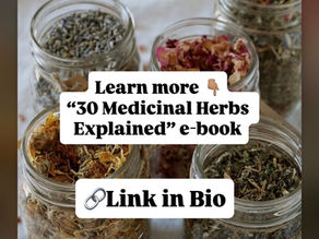 Modern Medicine Didn't Start in a Lab...