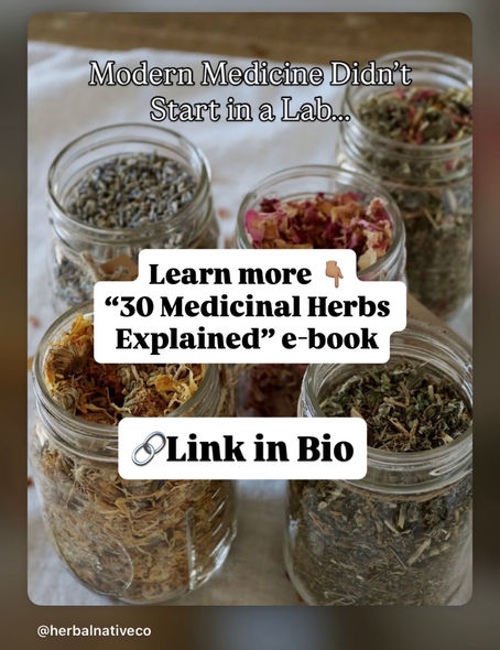 Modern Medicine Didn't Start in a Lab...