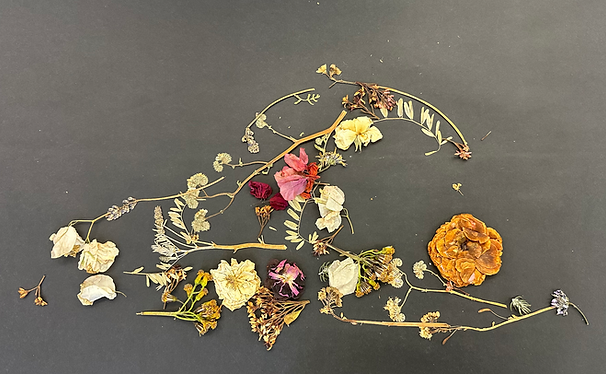 Screenshot 2025-09-13 at 5.31.02 PM.png