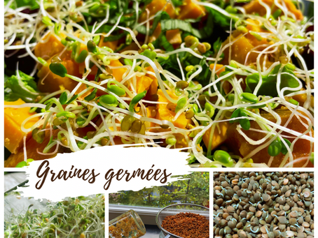 Pourquoi et comment manger des graines germées?