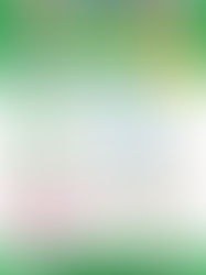 2026前期チャレンジクラブ　一般募集開始