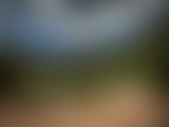 И все-таки на подиуме!