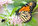 Plan to Build a Monarch Waystation this Spring