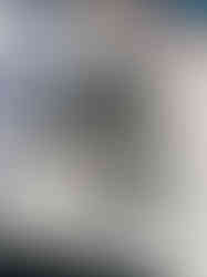 IMG_4722.jpeg
