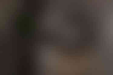 Down Tait Image 01