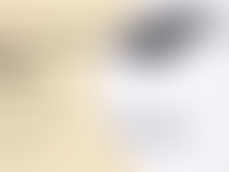 Memon Products for Electromagnetic Field Protection from Computers and Devices