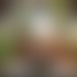 MOROCCO, OCTOBER 2022