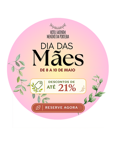 Logos de Feriados e PAcotes.png