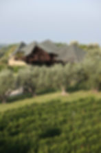 Ca'Marcanda Winery in Bolgheri, Italy