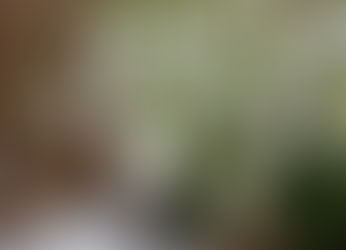 Content ideas for February