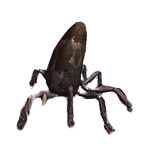 Sentient Mineral.png