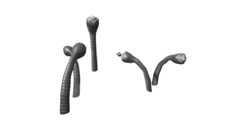 Proto Digger - Eyes.png