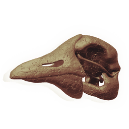 Divewing Skull | NoMan'sSky Resources