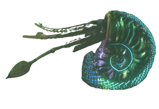 Nautilus.png