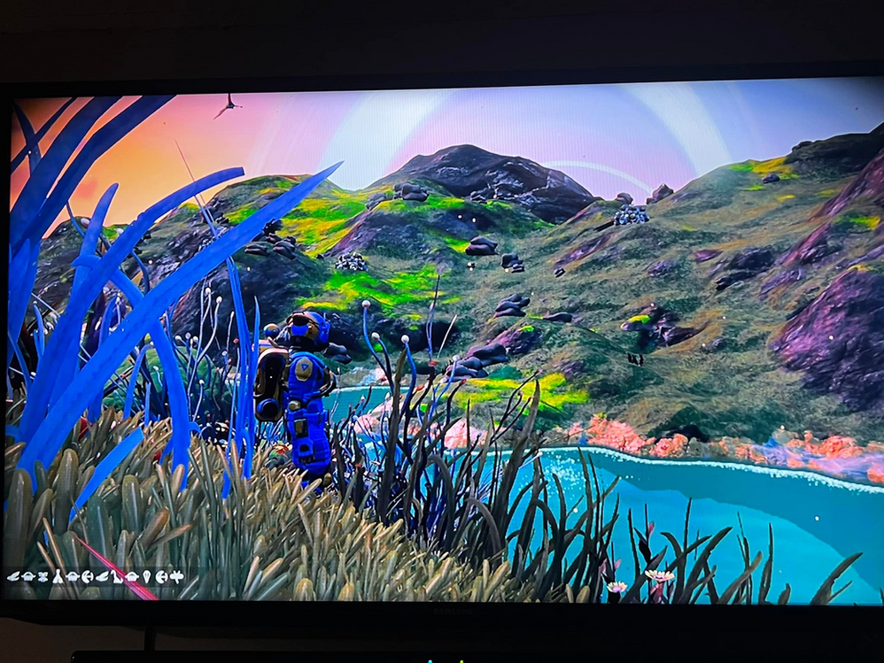 Earthlike planet. Mild weather, no sentinels. Living, flying flowers. It’s a paradise..png
