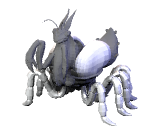 Spider.png