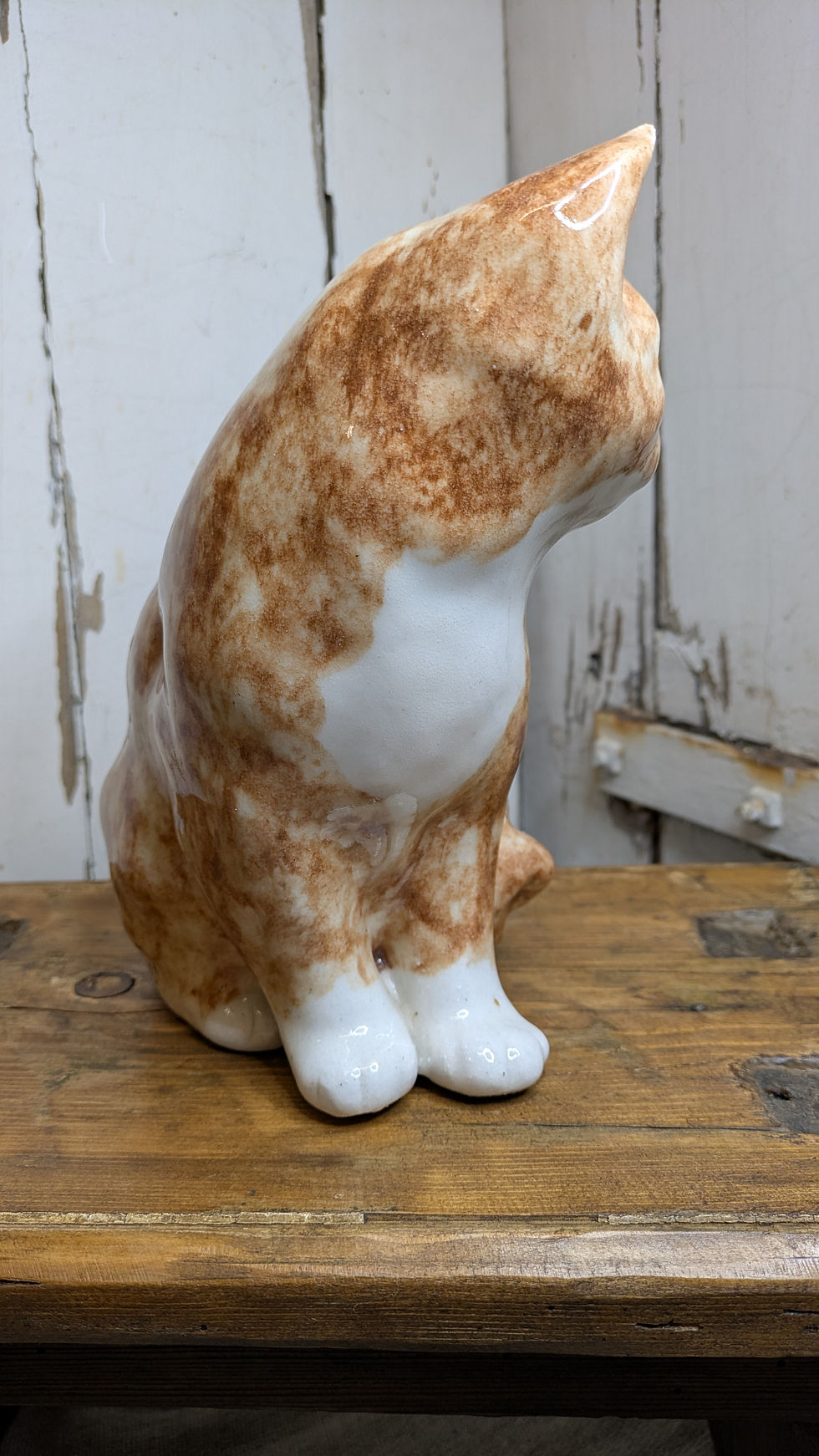 Thumbnail: Winstanley ginger tabby