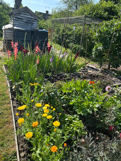 East Grinstead Open day - National Garden Scheme NGS