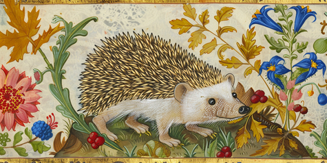 an illustration of a hedgehog in the style of a medieval bestiary